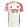 Maillot de Supporter Olympique Lyonnais Troisième 2024-25 Pour Enfant